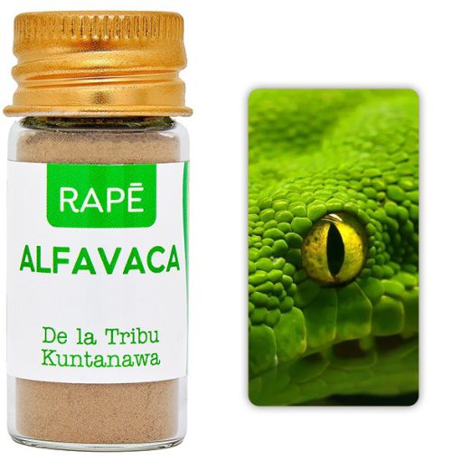 Alfavaca – Bild 2